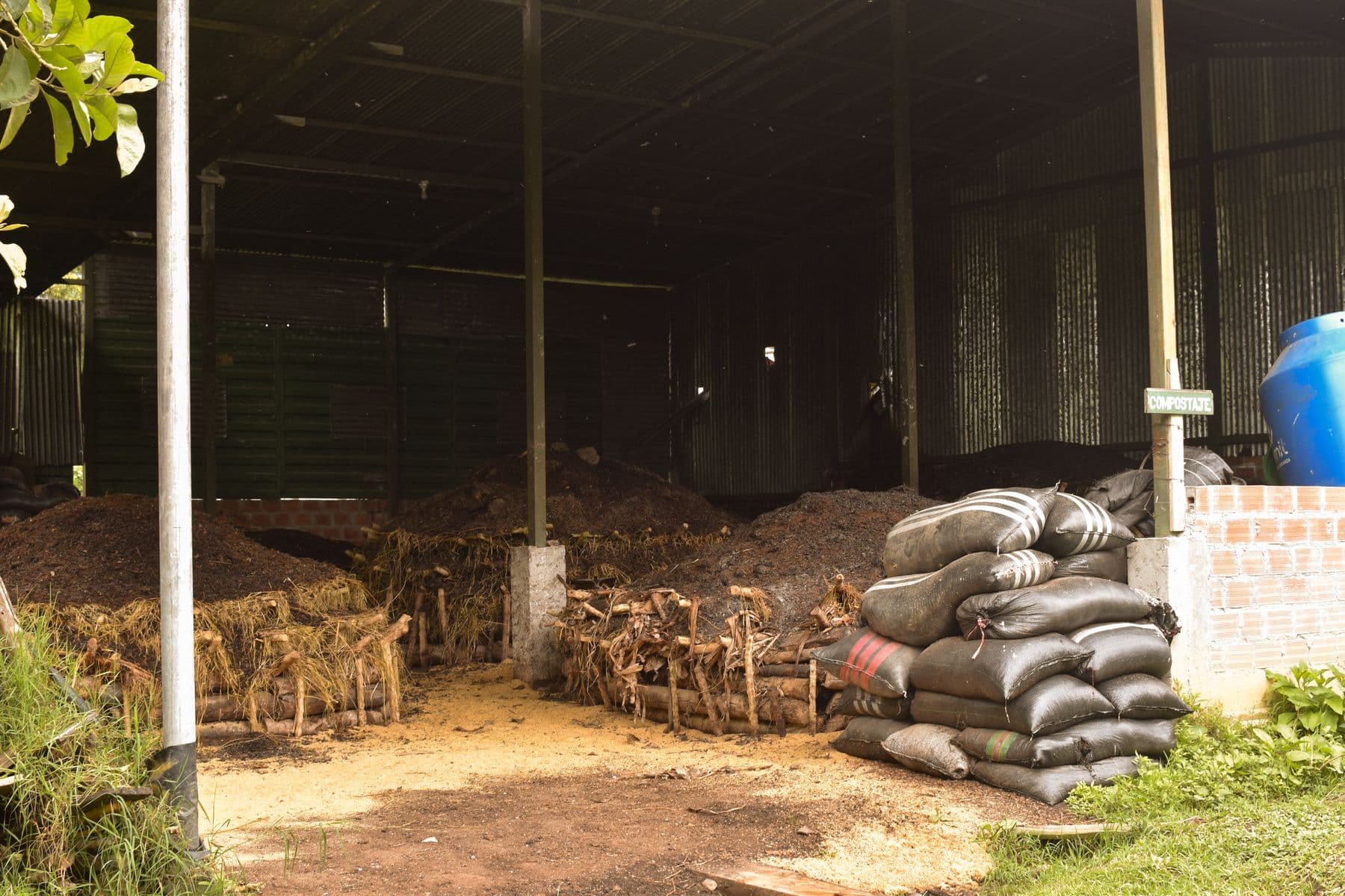 Café acopiado en nuestra planta